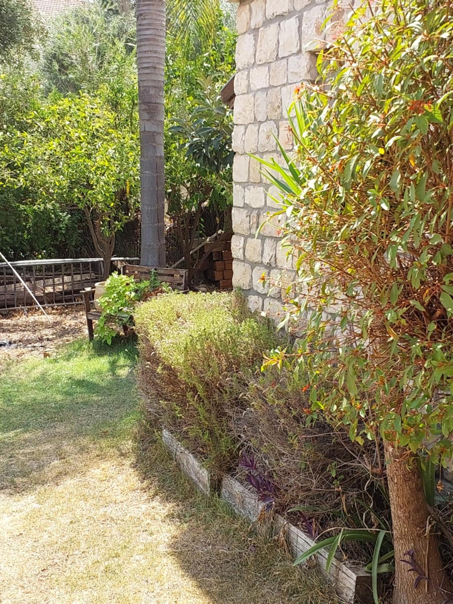 Apartament Neve Nof Rosz Pina Pokój zdjęcie