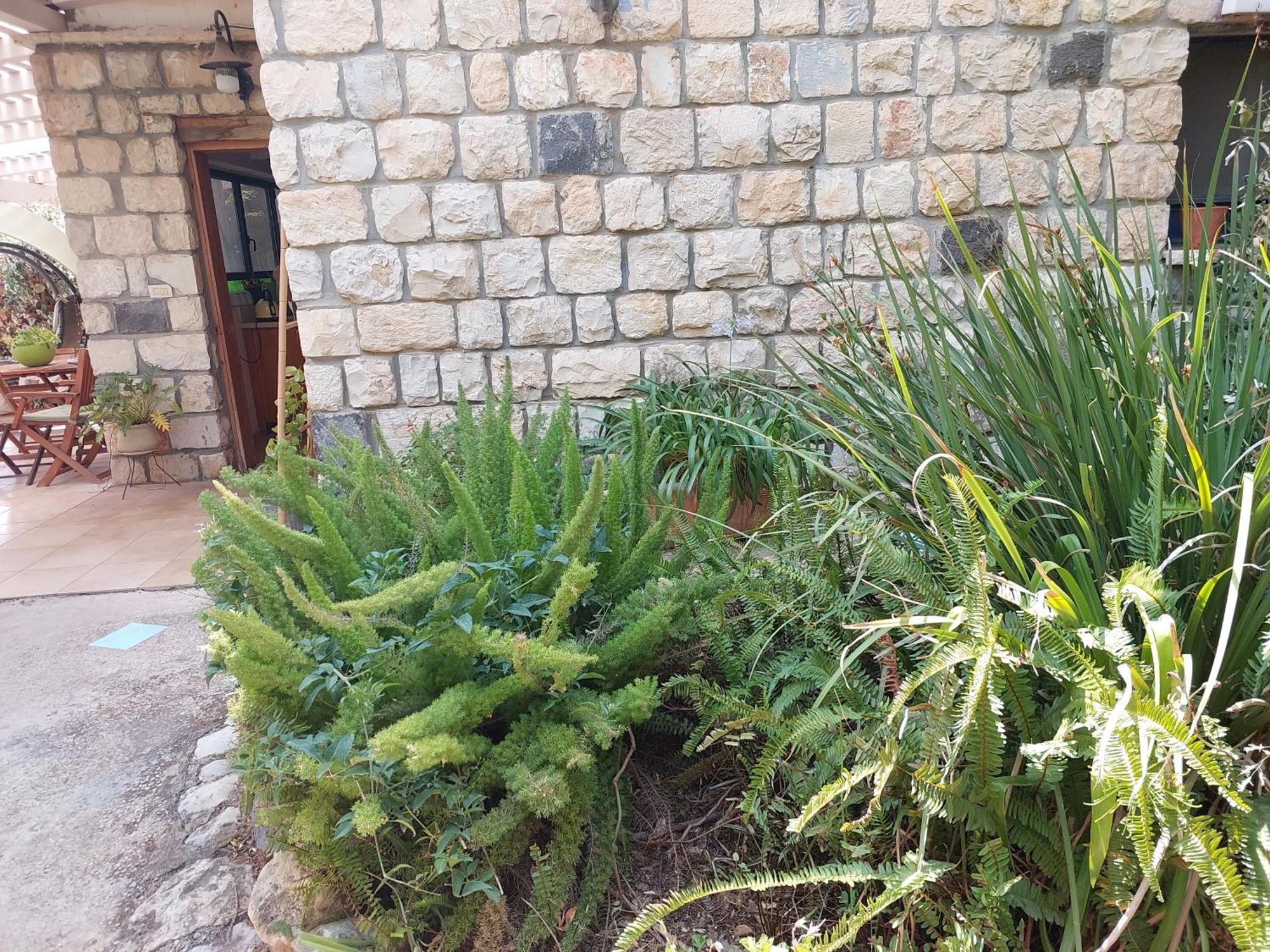 Apartament Neve Nof Rosz Pina Pokój zdjęcie